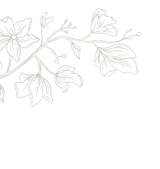 Biệt thự biển Meyretreat Bãi Lữ – Không gian sống rộng mở cho nhiều thế hệ