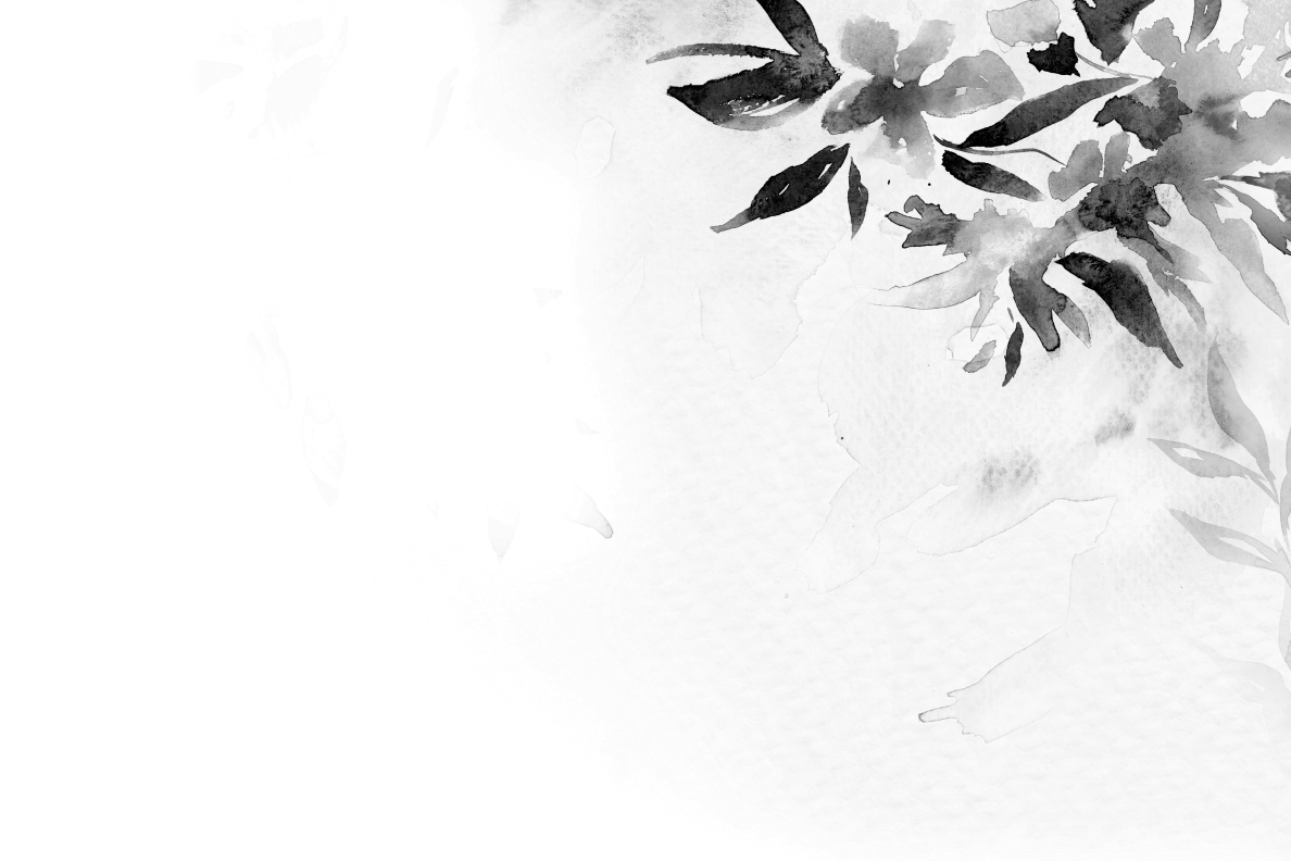 Biệt thự biển Meyretreat Bãi Lữ – Không gian sống rộng mở cho nhiều thế hệ