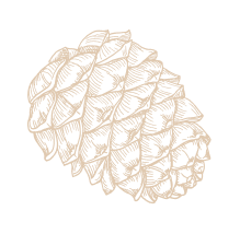 Biệt thự biển Meyretreat Bãi Lữ – Không gian sống rộng mở cho nhiều thế hệ