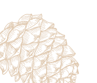 Biệt thự biển Meyretreat Bãi Lữ – Không gian sống rộng mở cho nhiều thế hệ